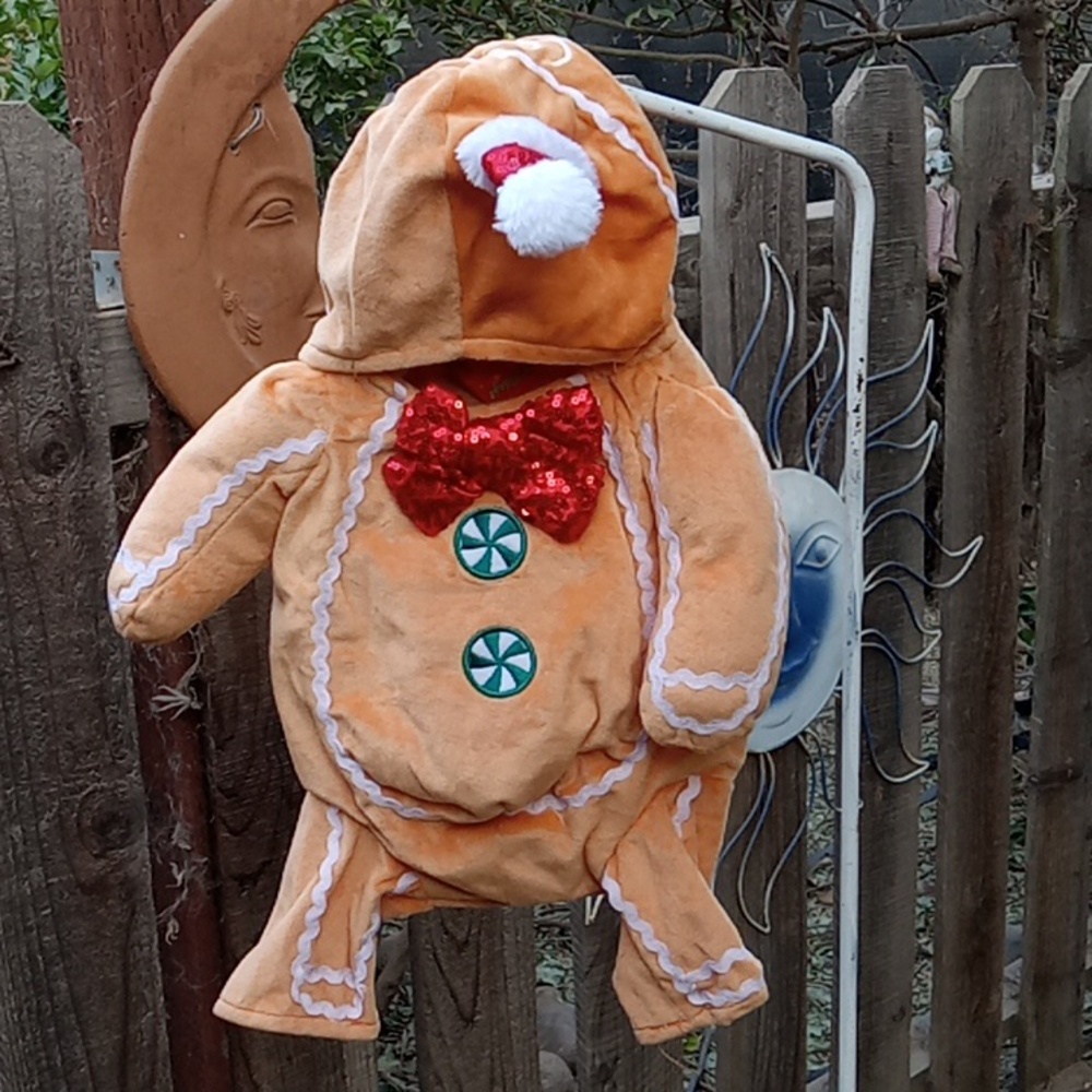 Christmas dog apparel size small gingerbread.